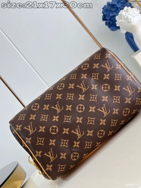 WIS Crafty Speedy Soft Vuitton 30 Louis 0317